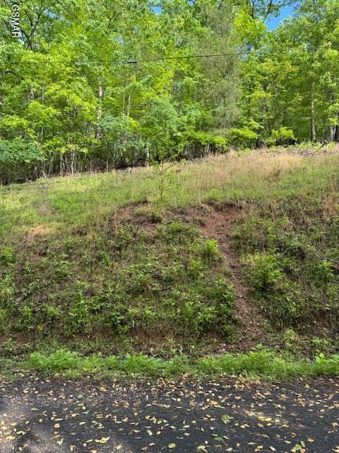 LOT543 Rockview Dr, Spring City, TN 37381