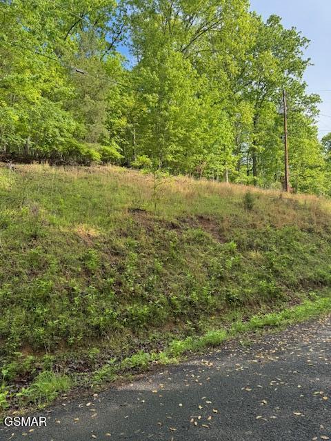 LOT543 Rockview Dr, Spring City, TN 37381