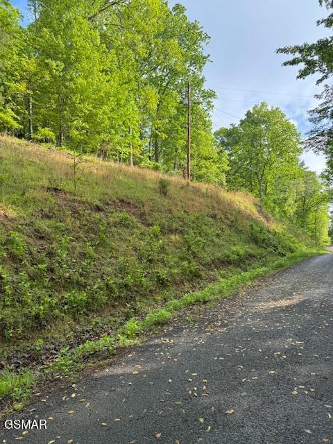 LOT543 Rockview Dr, Spring City, TN 37381