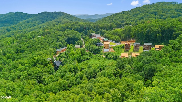 LOT46 Pine Peak Way, Sevierville, TN 37862 - photo 19