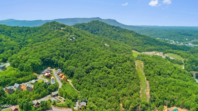 LOT46 Pine Peak Way, Sevierville, TN 37862 - photo 10
