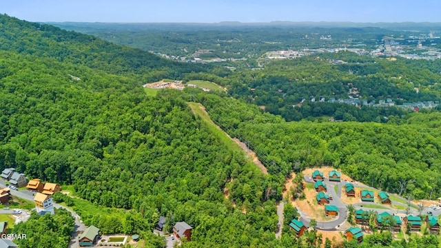 LOT46 Pine Peak Way, Sevierville, TN 37862 - photo 12