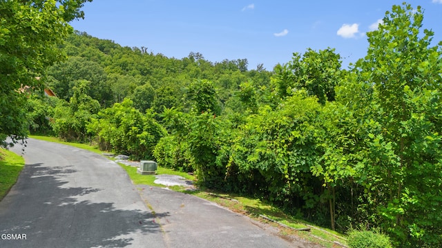LOT46 Pine Peak Way, Sevierville, TN 37862 - photo 13