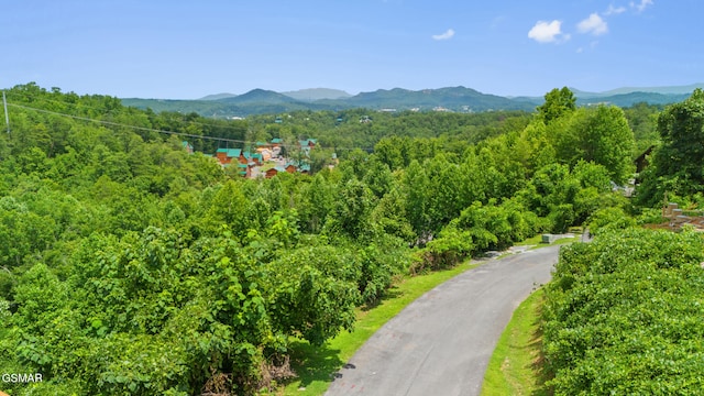 LOT46 Pine Peak Way, Sevierville, TN 37862 - photo 15