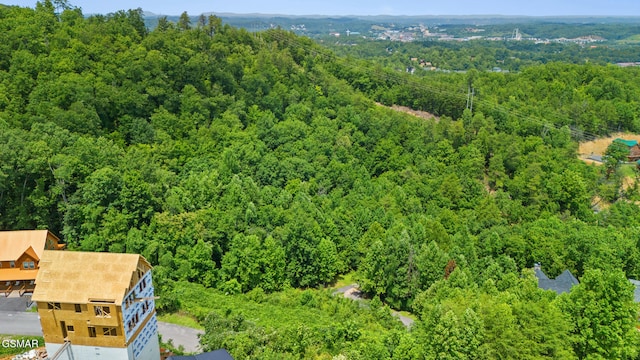 LOT46 Pine Peak Way, Sevierville, TN 37862 - photo 18