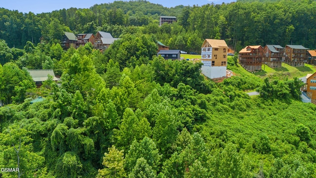 LOT46 Pine Peak Way, Sevierville, TN 37862 - photo 5
