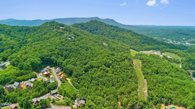 LOT46 Pine Peak Way, Sevierville, TN 37862 - photo 11