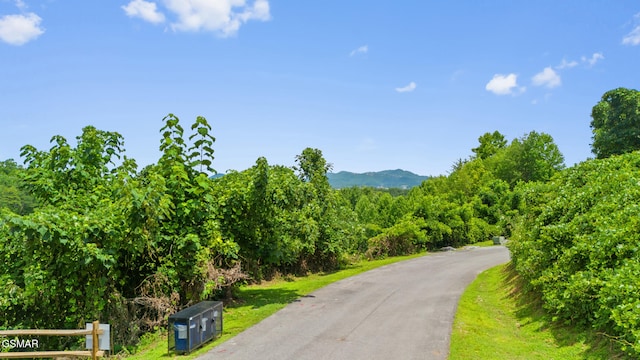 LOT46 Pine Peak Way, Sevierville, TN 37862 - photo 14