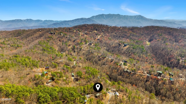 1003 Sumac Ct, Sevierville, TN 37876 - photo 22