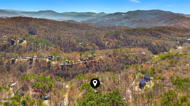 1003 Sumac Ct, Sevierville, TN 37876 - photo 21