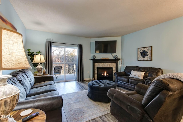 living room with a fireplace and wood-type flooring