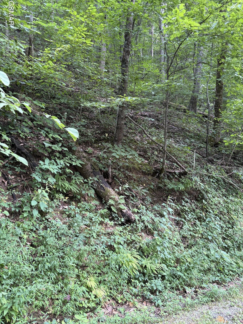 0 Feld Wynde Close Way, Sevierville, TN 37862 - photo 1