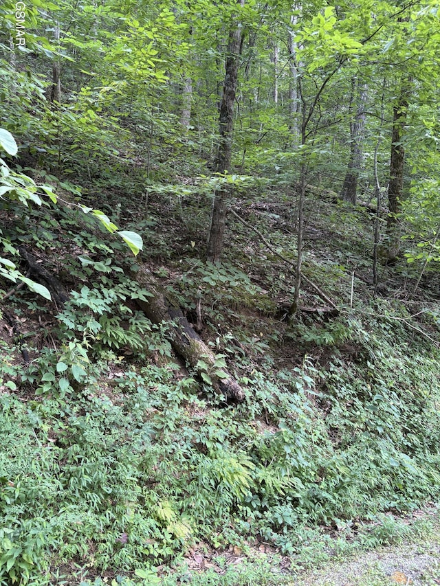 0 Feld Wynde Close Way, Sevierville, TN 37862 - photo 1