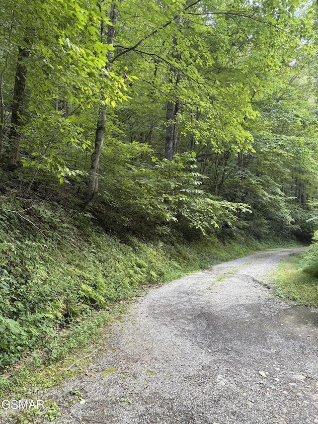 0 Feld Wynde Close Way, Sevierville, TN 37862 - photo 2
