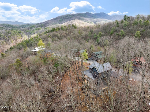 property view of mountains