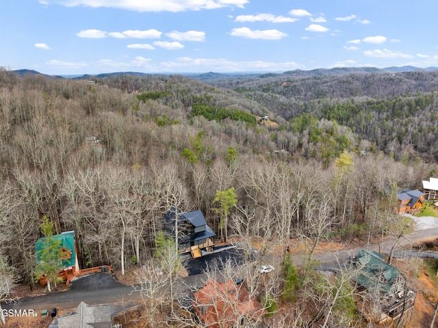 view of mountain feature