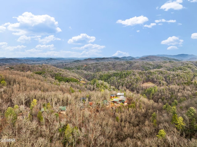 property view of mountains