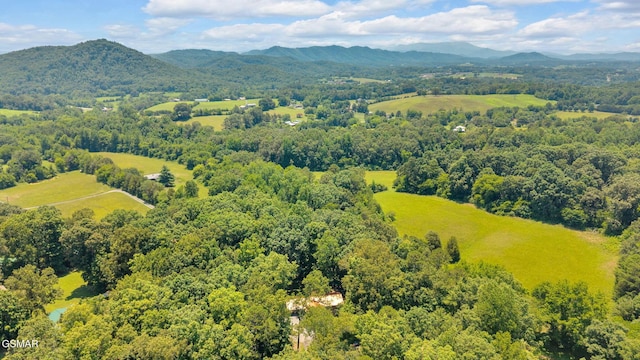 415 Owenwood Dr, Sevierville, TN 37876 - photo 42