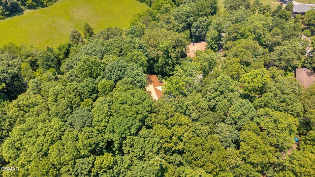 415 Owenwood Dr, Sevierville, TN 37876 - photo 40