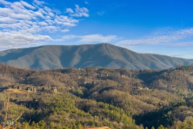 mountain view with a view of trees