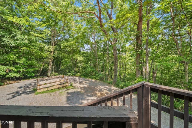 1923 E Arolla Ct, Gatlinburg, TN 37738 - view of yard