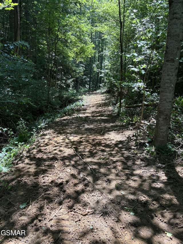 LOT69 Oak Lake Dr, Sevierville, TN 37876 - photo 5
