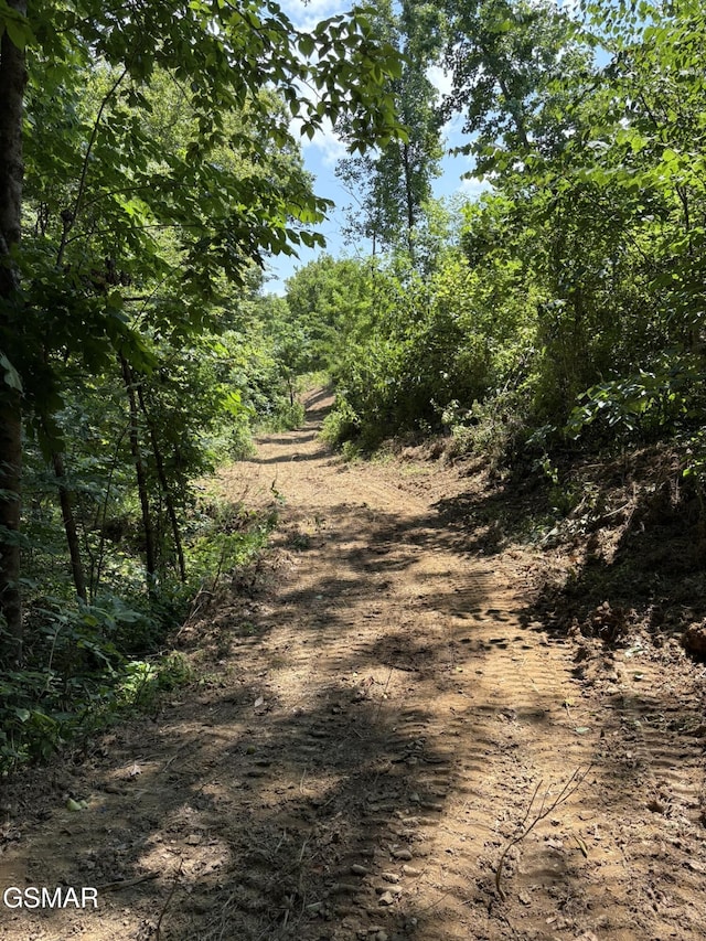 LOT69 Oak Lake Dr, Sevierville, TN 37876 - photo 8