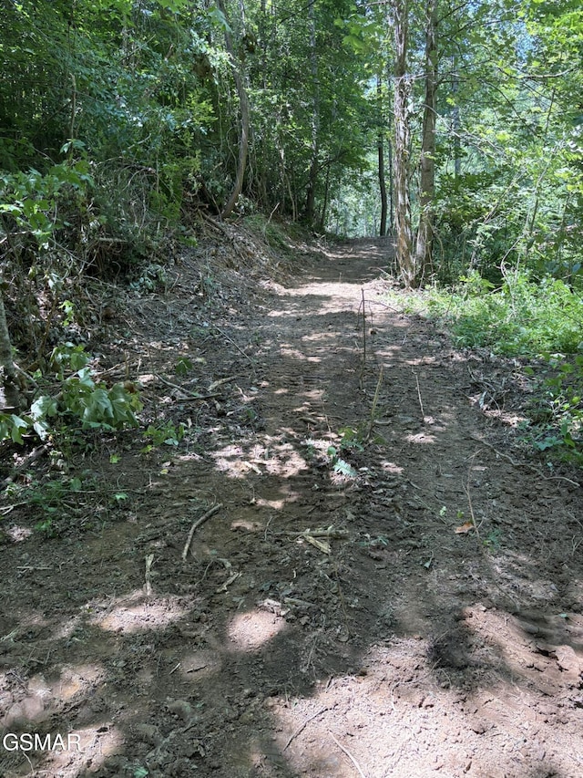 LOT69 Oak Lake Dr, Sevierville, TN 37876 - photo 4