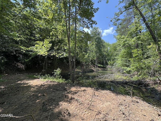 LOT69 Oak Lake Dr, Sevierville, TN 37876 - photo 3