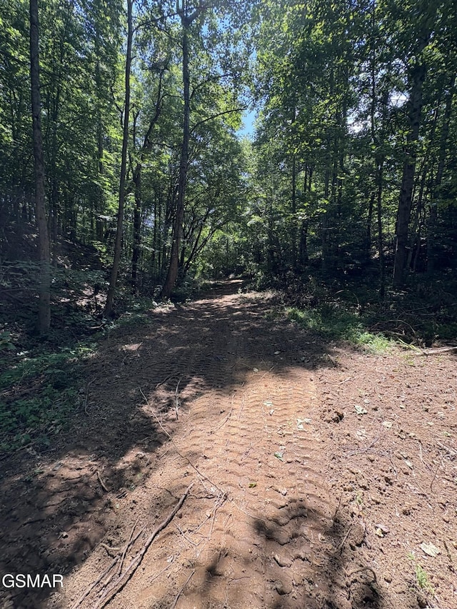 LOT69 Oak Lake Dr, Sevierville, TN 37876 - photo 7