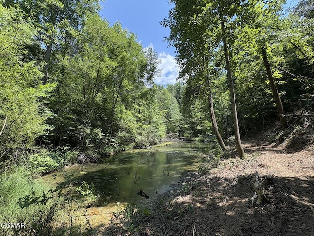 LOT69 Oak Lake Dr, Sevierville, TN 37876 - photo 2