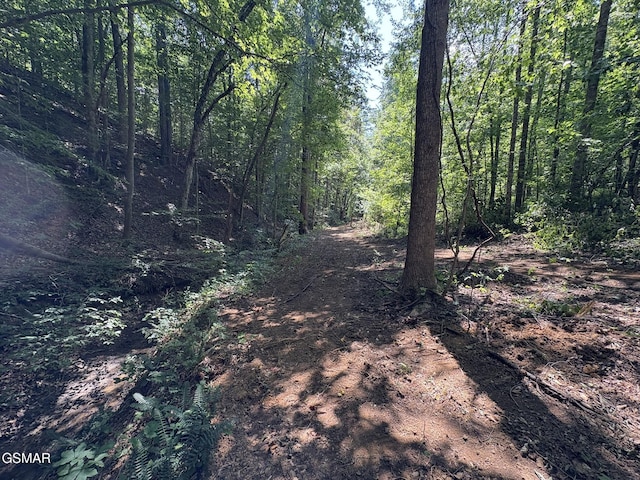 LOT69 Oak Lake Dr, Sevierville, TN 37876 - photo 6