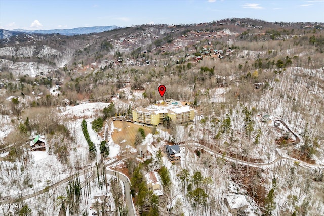 snowy aerial view featuring a mountain view