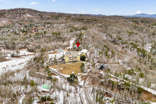 snowy aerial view featuring a mountain view