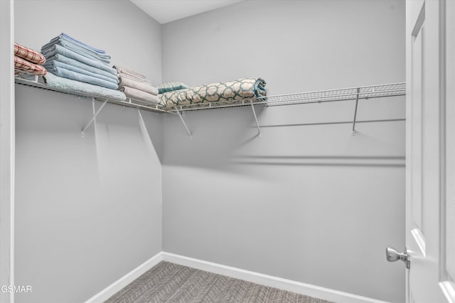 view of spacious closet