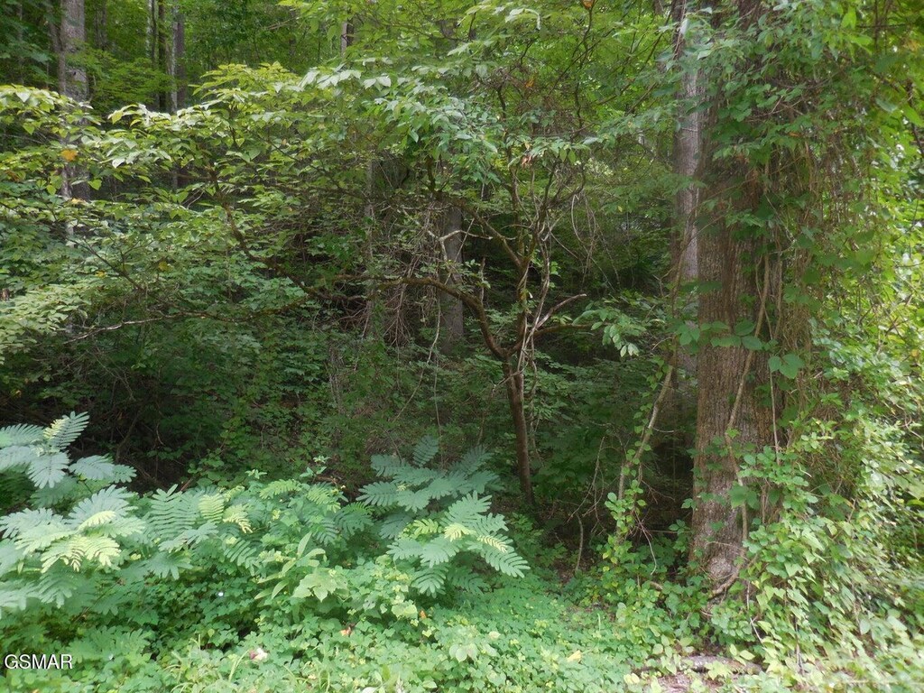 LOT1 Hidden Vly, Gatlinburg, TN 37738 - photo 2