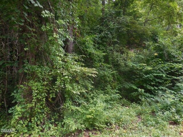 LOT1 Hidden Vly, Gatlinburg, TN 37738 - photo 1