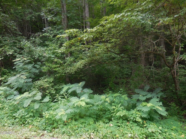 LOT1 Hidden Vly, Gatlinburg, TN 37738 - photo 3