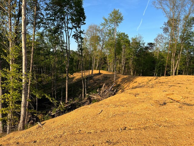 Listing photo 3 for LOT10-A Bruce Ogle Way, Pigeon Forge TN 37862