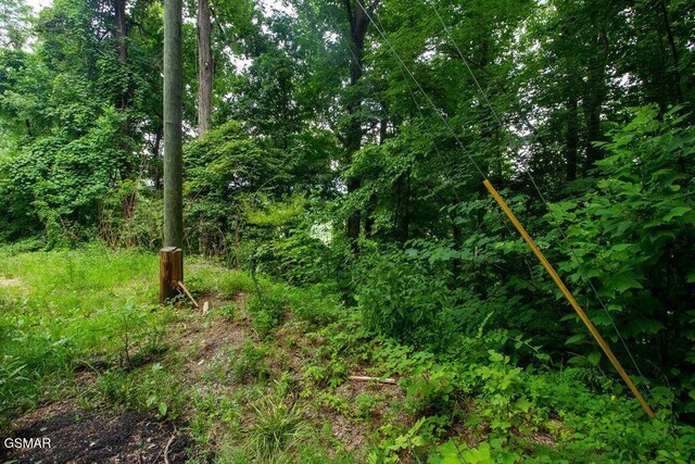 LOT13A Sugar Maple Loop Rd, Sevierville, TN 37862
