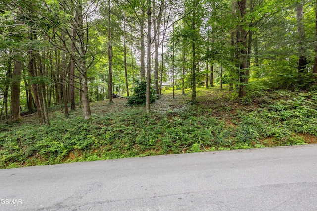 1633 Cardinal Dr, Gatlinburg, TN 37738 - photo 25