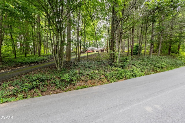 1633 Cardinal Dr, Gatlinburg, TN 37738 - photo 24
