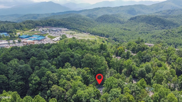 216 Mockingbird Dr, Gatlinburg, TN 37738 - photo 5