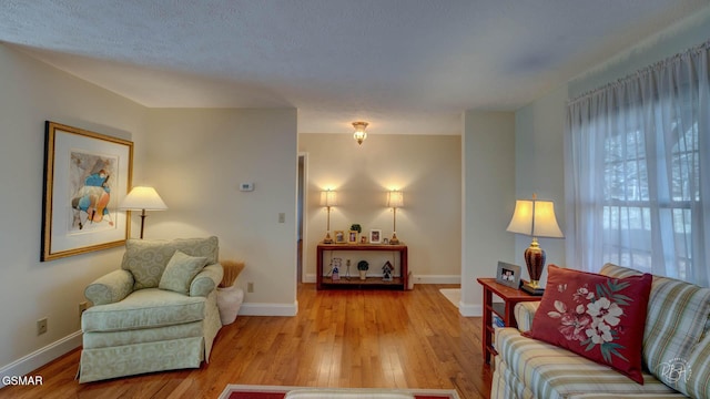 living room with light hardwood / wood-style floors