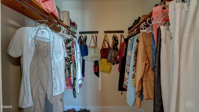 view of spacious closet