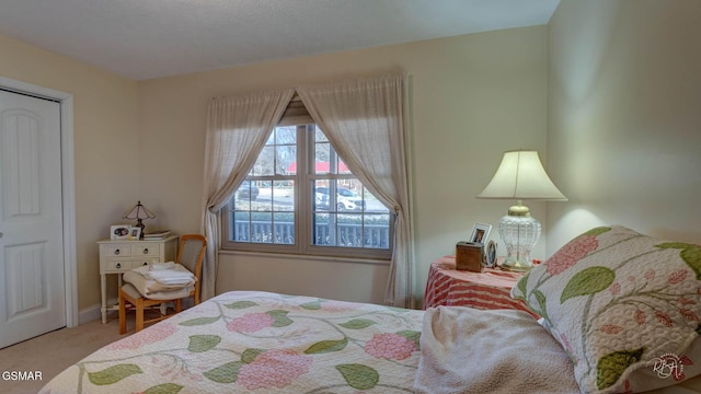 view of carpeted bedroom