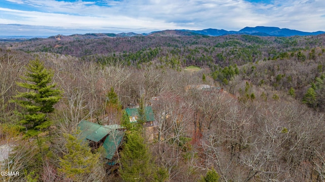 4303 Locke Ridge Way, Sevierville, TN 37876 - photo 3