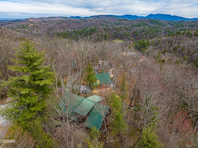 4303 Locke Ridge Way, Sevierville, TN 37876 - photo 31