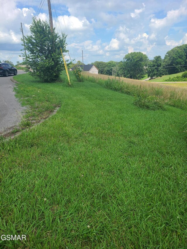 211 Washita Ln, Rutledge, TN 37861 - photo 4