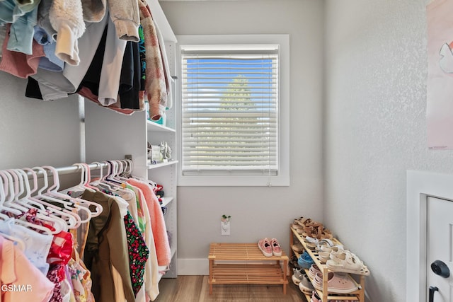 spacious closet featuring wood finished floors